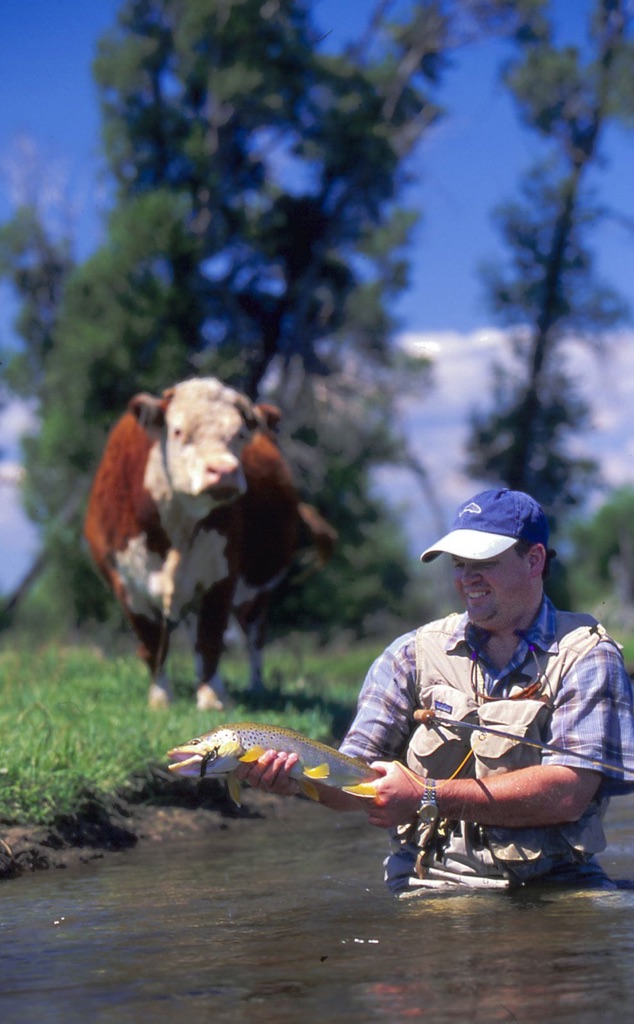 Am I still a vegetarian? Cow watches fly fiisher holding up a nice trout.  Am I still a vegetarian? Cow watches fly fiisher holding up a nice trout.