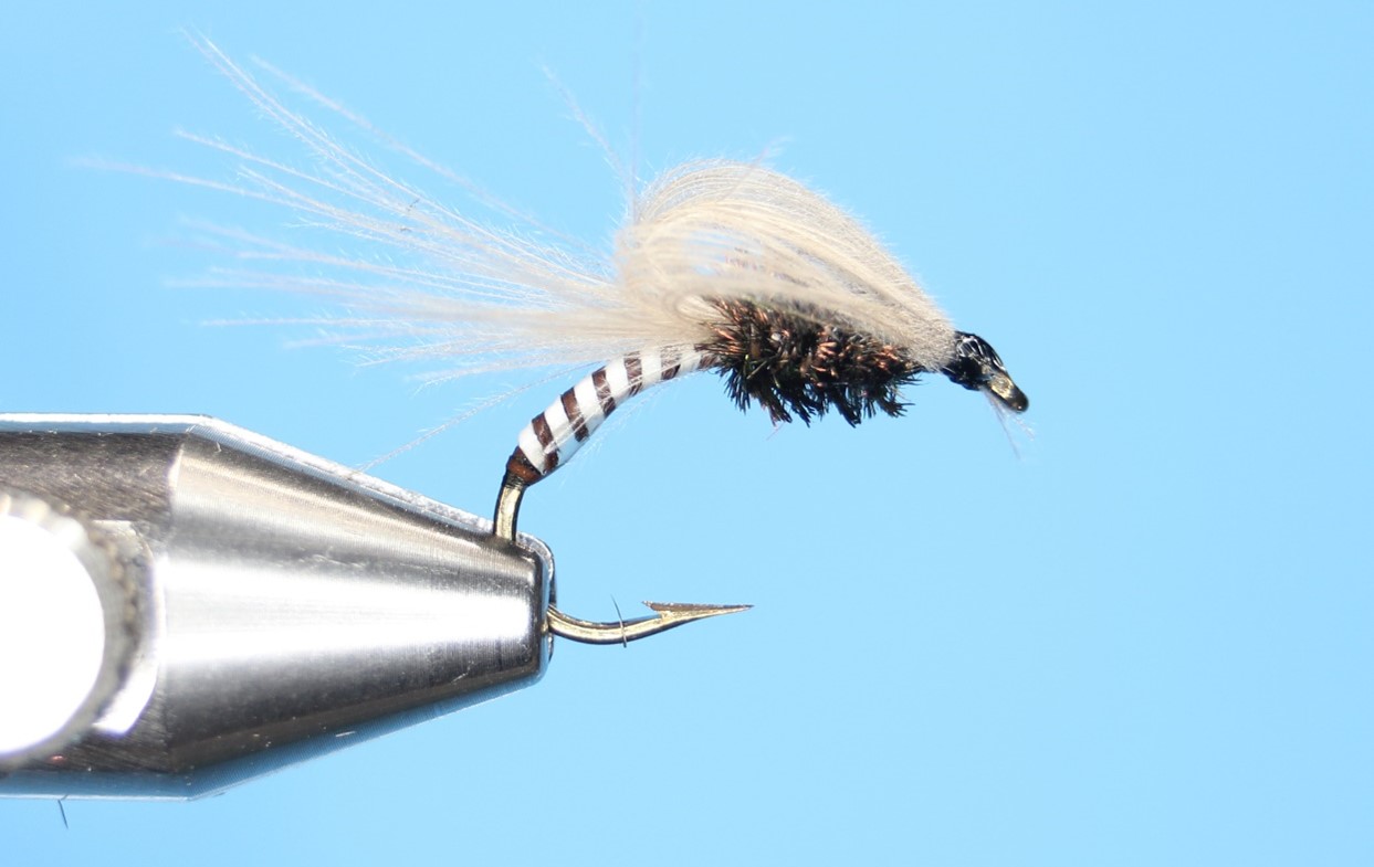 Fly of the Month